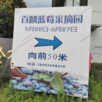 評論圖片 4