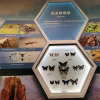 評論圖片 6