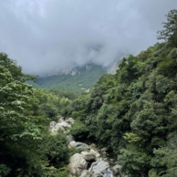 評論圖片 3