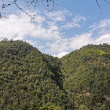 評論圖片 3
