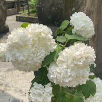 評論圖片 9
