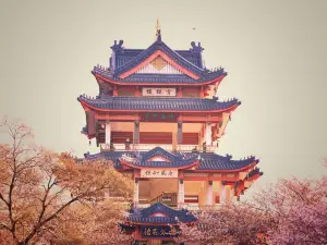 黿頭渚