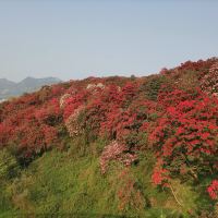 評論圖片 2
