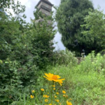 評論圖片 1