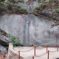 評論圖片 6