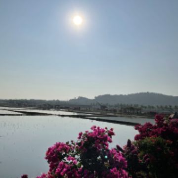 評論圖片 5