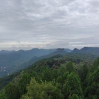 評論圖片 3