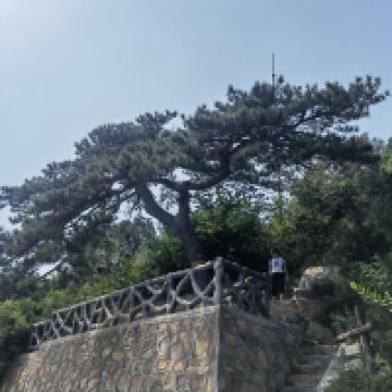 評論圖片 8