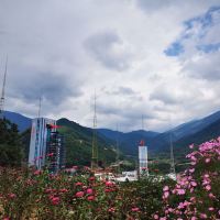 評論圖片 2