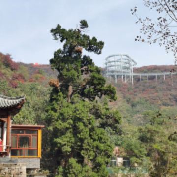 評論圖片 8