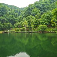 評論圖片 2