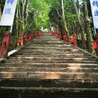 評論圖片 8