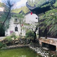 評論圖片 8