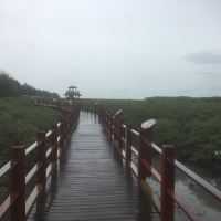 評論圖片 4