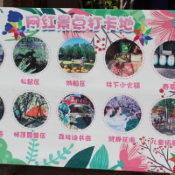 評論圖片 7