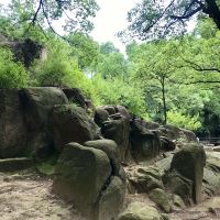 評論圖片 3