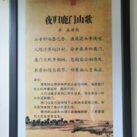 評論圖片 9