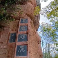 評論圖片 7
