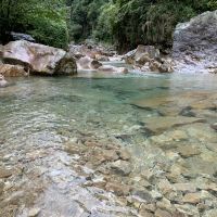 評論圖片 5