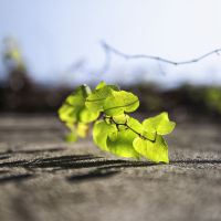 評論圖片 3