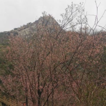 評論圖片 4