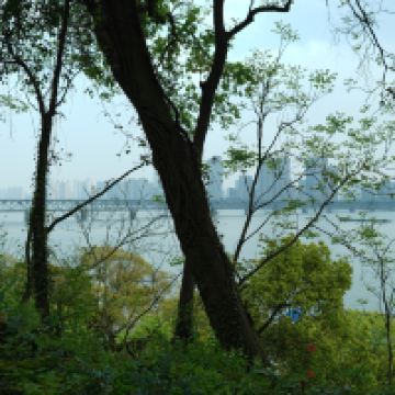 評論圖片 4