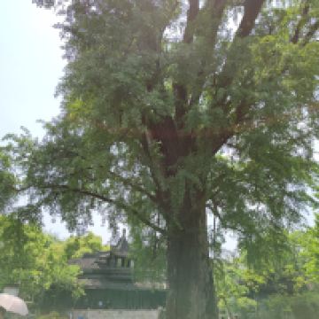 評論圖片 1