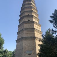 評論圖片 5
