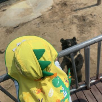 評論圖片 5