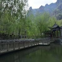 評論圖片 3