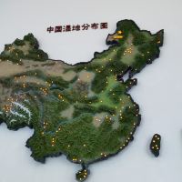 評論圖片 5
