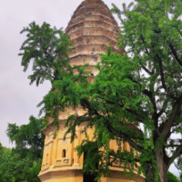 評論圖片 1