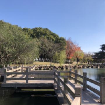 評論圖片 2