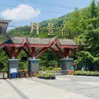 評論圖片 1