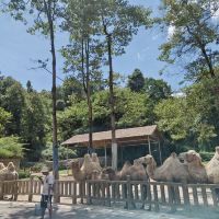 評論圖片 8