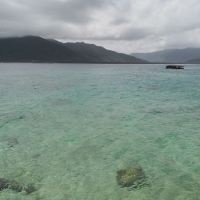 評論圖片 2