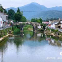 評論圖片 8