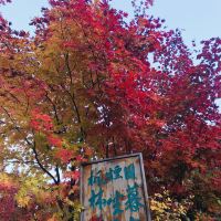 評論圖片 1