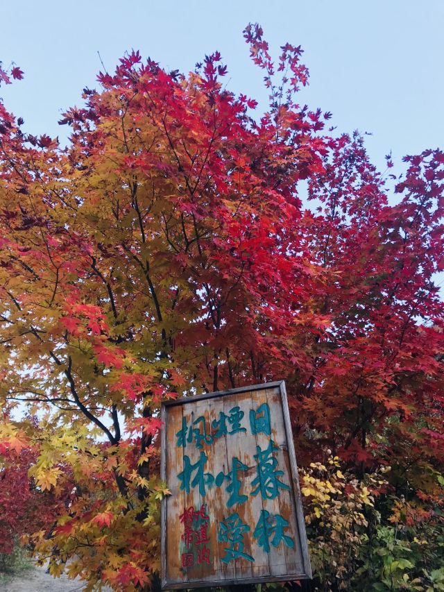 용도구