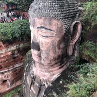 評論圖片 7