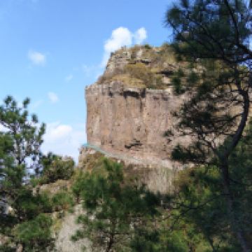 評論圖片 5