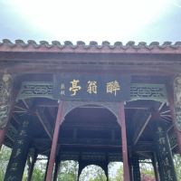 評論圖片 4