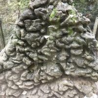評論圖片 4