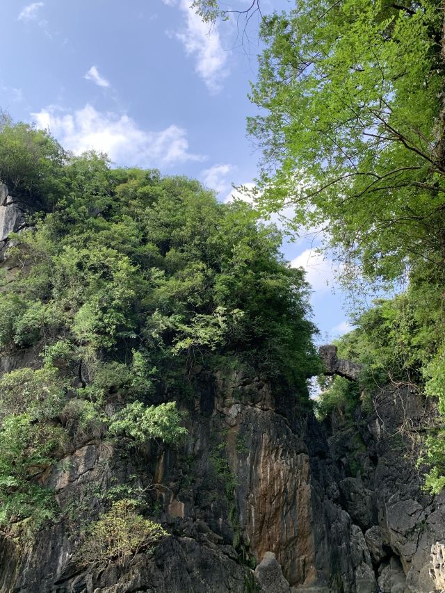 龍宮