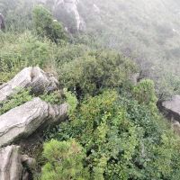 評論圖片 5