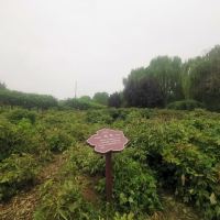 評論圖片 6