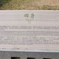 評論圖片 3