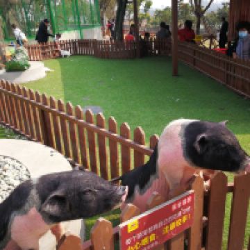 評論圖片 5