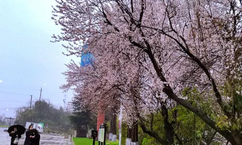 จุดชมวิวภูเขาจิง