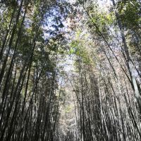 評論圖片 4